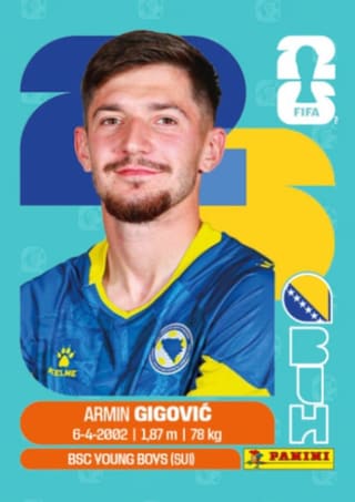Armin Gigovic - BIH10