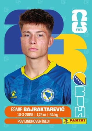 Esmir Bajraktarevic - BIH15