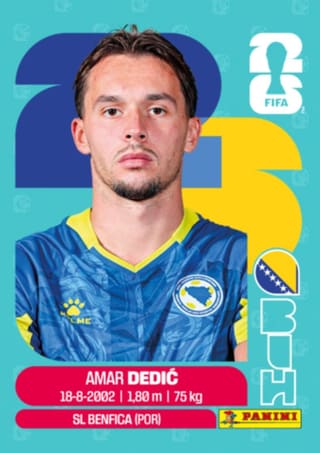 Amer Dedic - BIH3