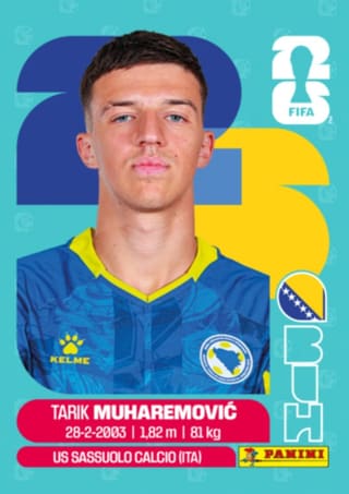 Tarik Muharemovic - BIH5