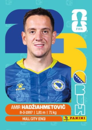 Amir Hadziahmetovic - BIH8
