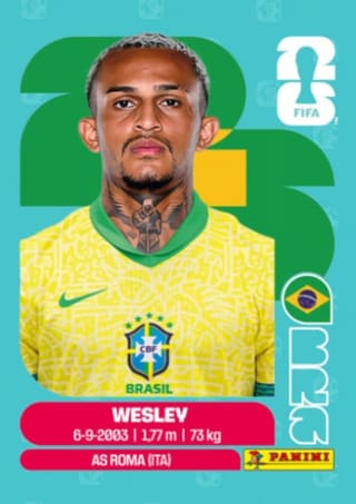 Wesley - BRA8