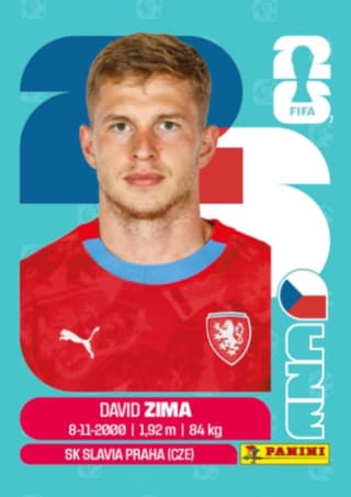 David Zima - CZE8