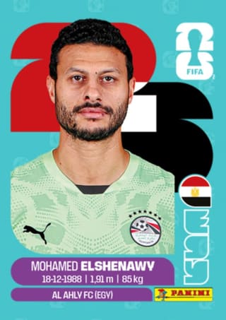 Mohamed el Shenawy - EGY2