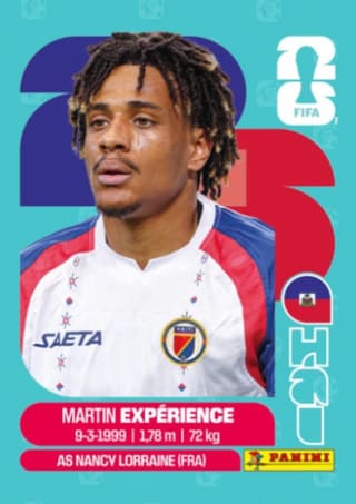 Martin Experience - HAI4