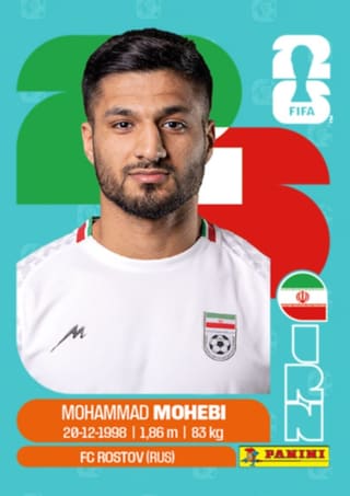 Mohammad Mohebi - IRN16