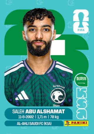 Saleh Abu Alshamat - KSA14