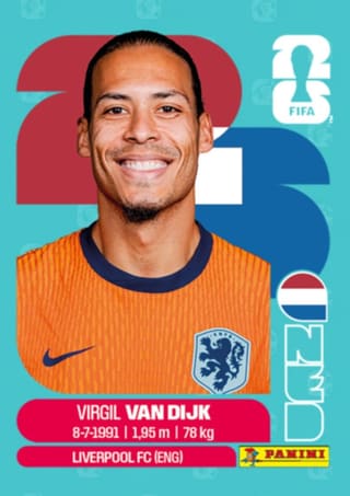 Virgil van Dijk - NED3