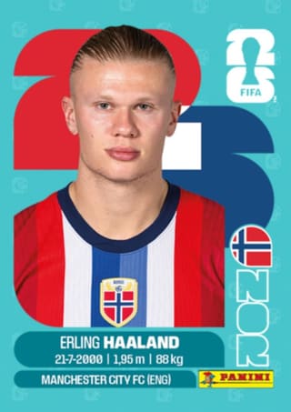Erling Haaland - NOR15