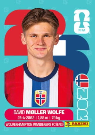 David Møller Wolfe - NOR7