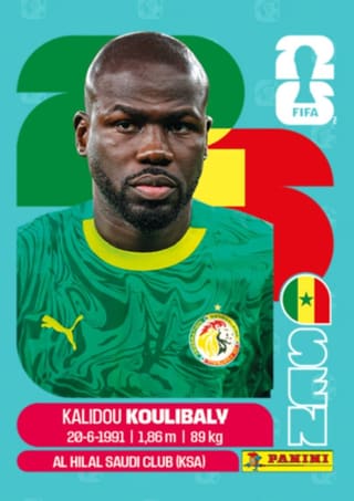 Kalidou Koulibaly - SEN8