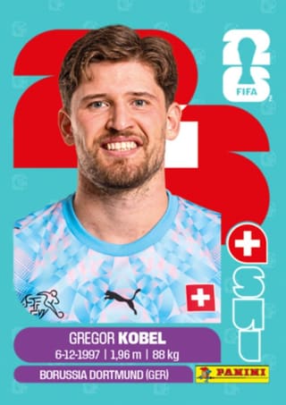 Gregor Kobel - SUI2