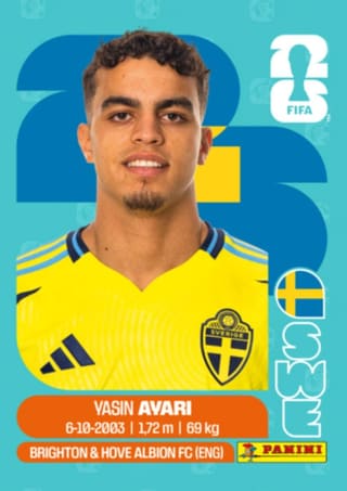 Yasin Ayari - SWE11