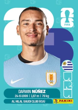 Darwin Nunez - URU17