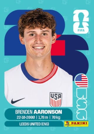 Brenden Aaronson - USA17